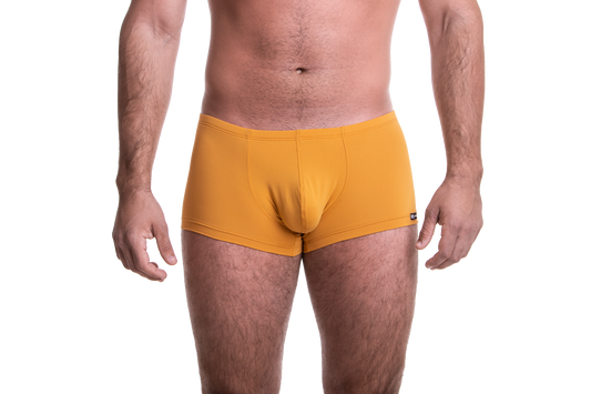 Rövid mustársárga boxer