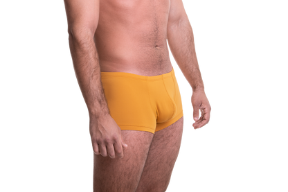 Rövid mustársárga boxer