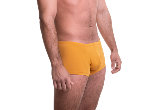 Rövid mustársárga boxer