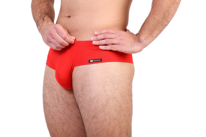 Piros miniboxer
