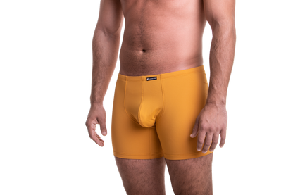 Hosszú mustársárga boxer
