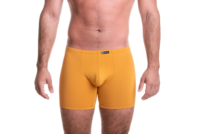 Hosszú mustársárga boxer