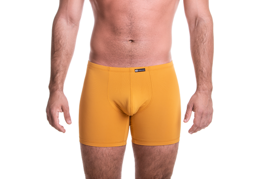 Hosszú mustársárga boxer