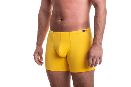 Hosszú sárga boxer
